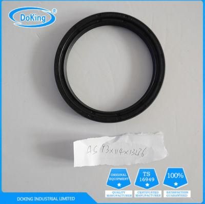 OEM NBR FKM FPM Silicone Oil Resistant Tc Oil Seal