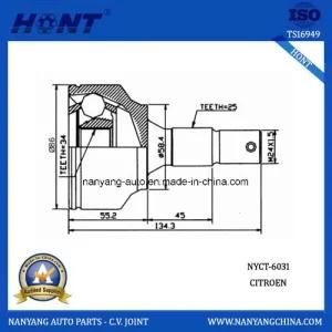 Citroen Car Steering System C. V. Joint 25-24-58.4 (NYCT-6031)