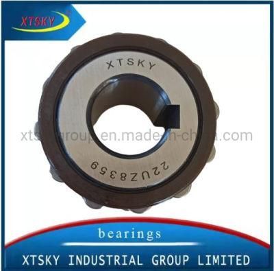 Eccentric Bearing Eccentric Bearing 22uz8359