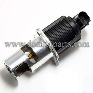 Egr Valve Eg10298-12b1 for Renault/Nissan/Opel