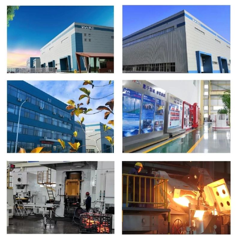 Made in China Casting Iron and Precision Machining Auto Accessory Brake Drum