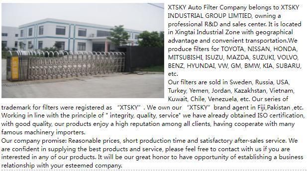 Xtsky High Quality Air Filter (17801-22010)