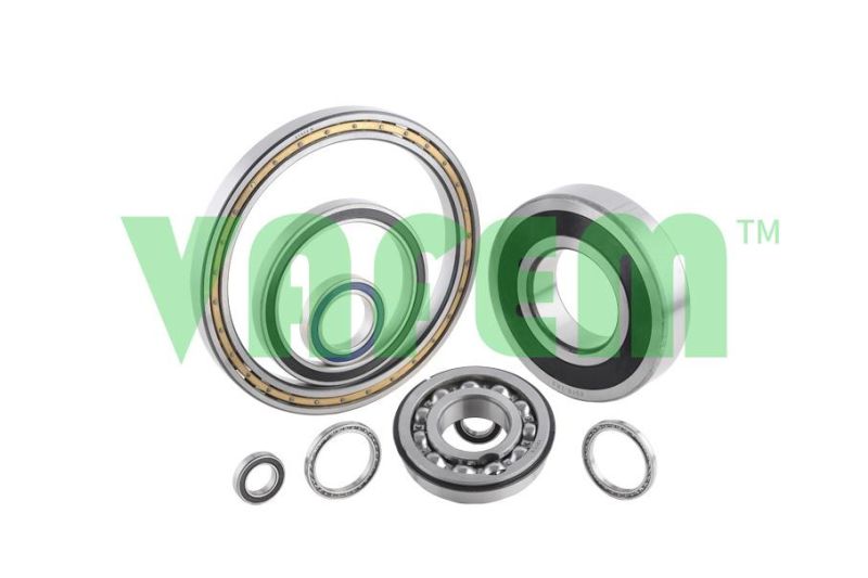 Wheel Bearing Dac49844042/Ball Bearing/ China Factory