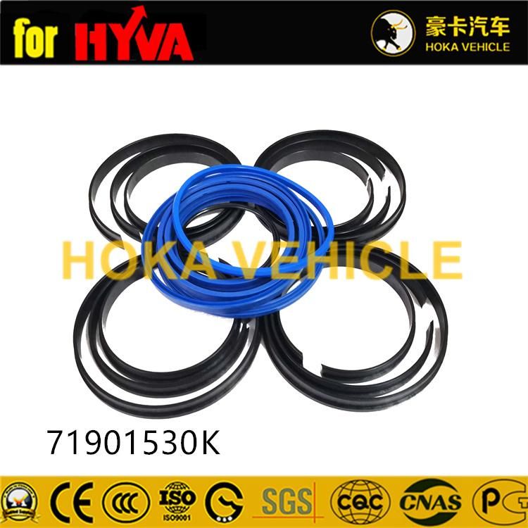 Truck Spare Parts Seal Kit 71901530K for Dump Truck Hyva Hoist System