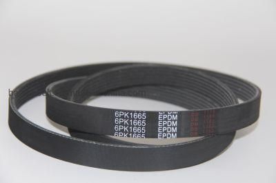 Rough Surface EPDM Ribbed Pk Pl Pj Pm Drive Belt