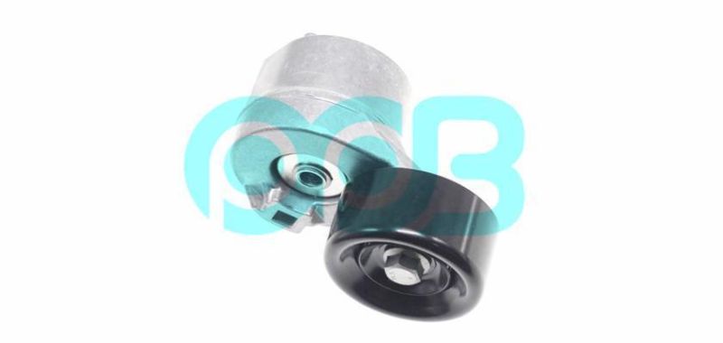 Belt Tensioner Lever 1119954 1333203 Yc1e6a228af Yc1e6a228AG Vkm34071 Apv2503 for Ford Transit