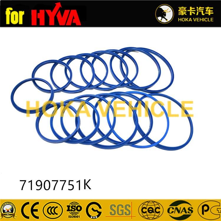 Truck Spare Parts Seal Kit 71907751K for Dump Truck Hyva Hoist System