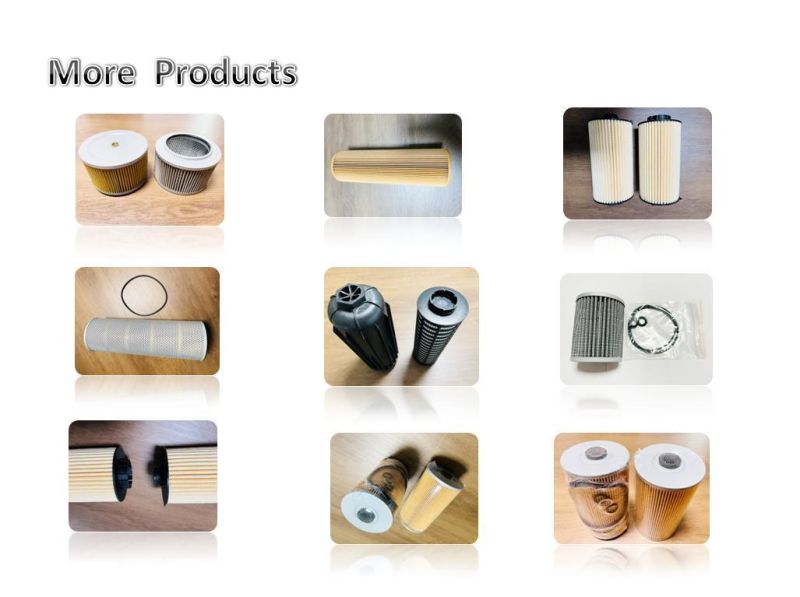 Auto Spare Parts, Fuel Filter Air Filter, Filtro De Aire, Filtro De Cabina, Eco Filtors