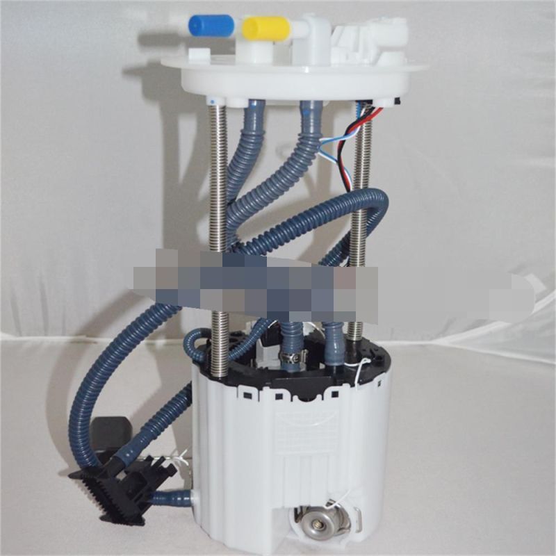 High Quality Fuel Pump Assembly for Chevrolet Akk55097, 13594750