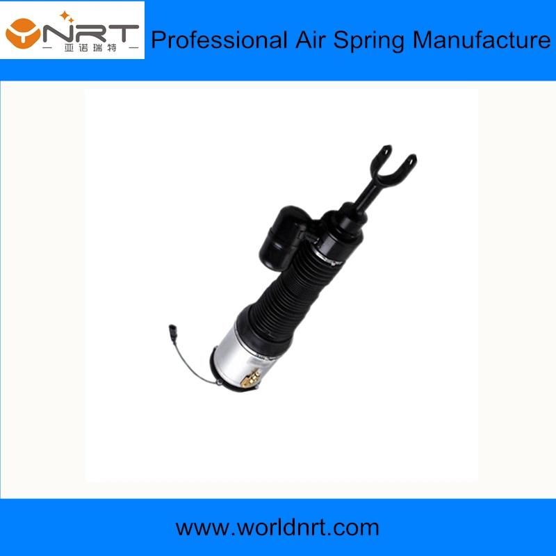 Nrt Factory Offer Front Air Suspension for Volkswagen Phaeton/Bentley 3D7616039 3D7616040