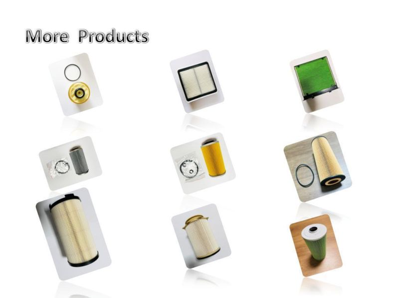 611600070119 Oil Filter, Filtro De Aceite, All Kinds of Filters, High Quality, Wholesale Prices.