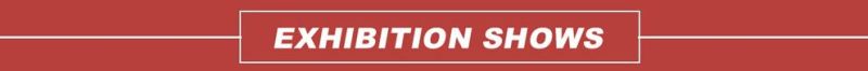 Btf0110/81934200288/81934200330/81934200334/81934200349/Vkba5377/Btf0110/Btf0021A Truck Hub Unit Bearing