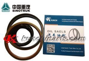 Wg9112340113 Rear Wheel Oil Seal 190*220*15/15 for Sinotruk HOWO