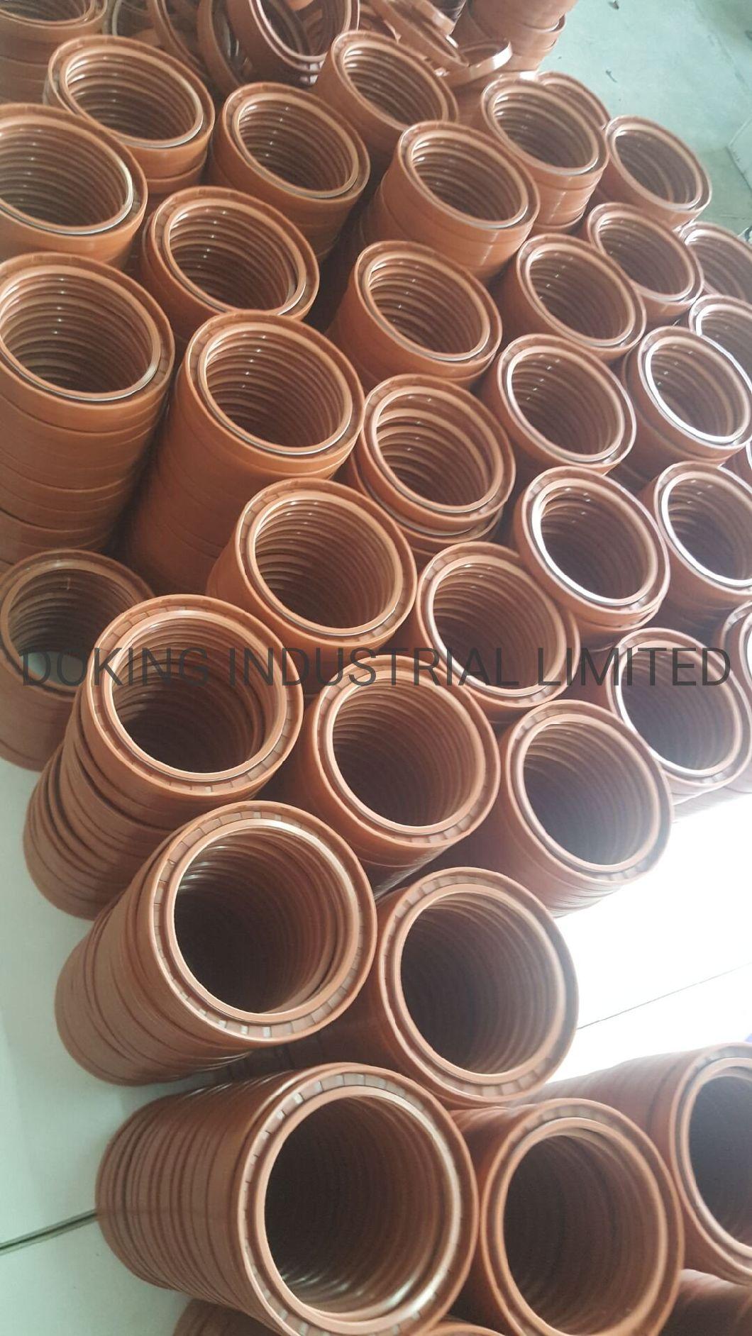 Htcl Double Lip FKM Viton Oil Seals 80*100*8.5