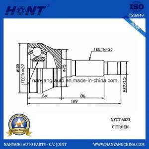 Citroen Part of Wheek C. V. Joints (NYCT-6023)