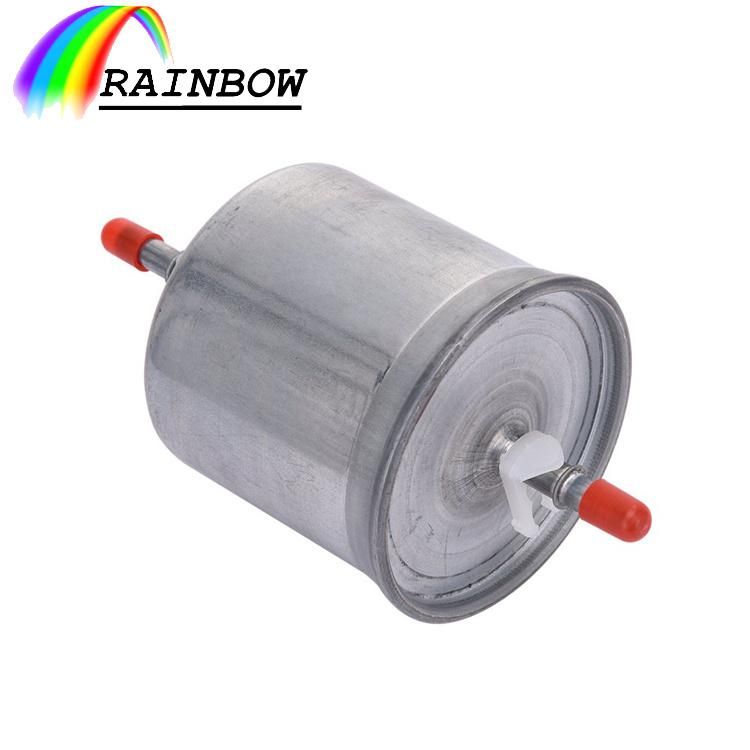 Salable Personalized Custom Made 30620512 Auto Fuel Filter in China for Volvo