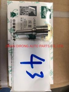 Sinotruk Nozzle L468pbb Sinotruk Shacman Foton FAW Truck Spare Parts