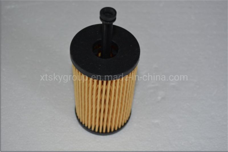 Xtsky High Quality Auto Part Oil Filter (OE: HU612/2X)