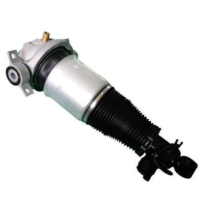 Porsche Cayenee955/Volkswagen Touareg/Audi Q7 Rear Air Matic Suspension Shock