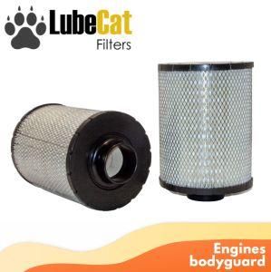 High Efficiency Air Filter for Daf/Temsa Truck Ah1136