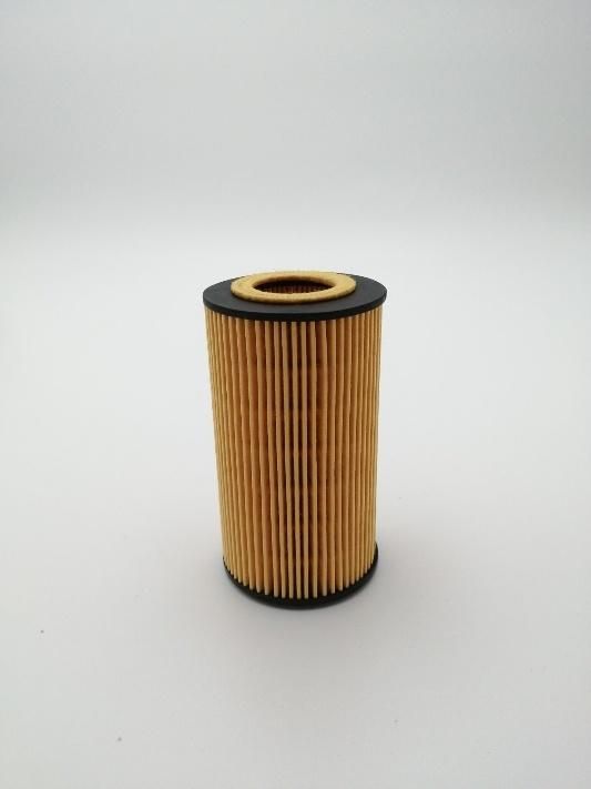 Best Quality Auto Parts Car Oil Filter A6511800109 Hu718/1K