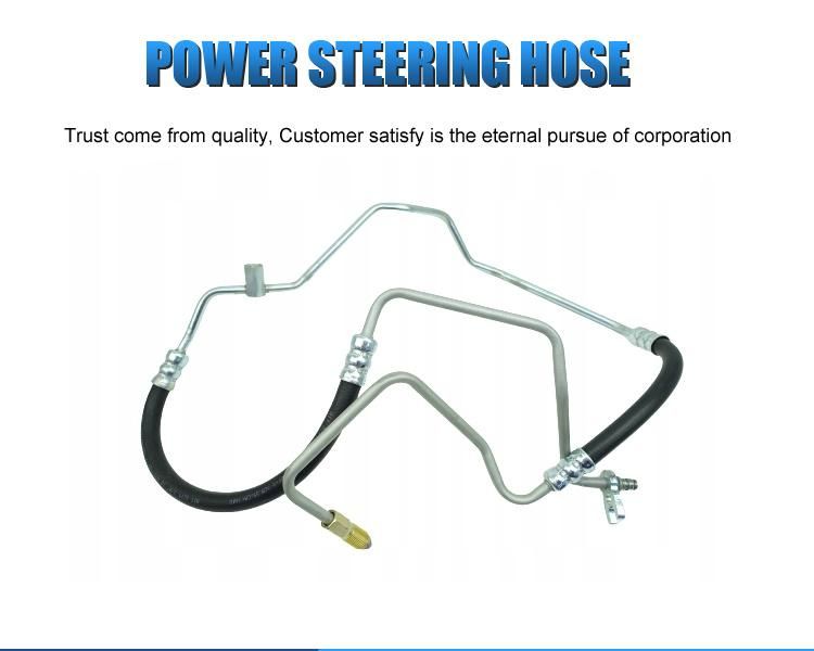 4020sz 4020. Sz Car Parts Nafurancar OEM High Pressure Power Steering Hose Assembly for Peugeot