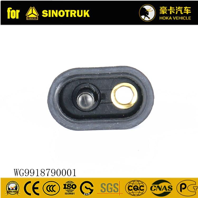 Original Sinotruk HOWO Truck Spare Parts Cab Door Light Switch Wg9918790001