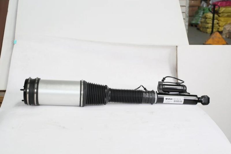 S Class W220 2002-2006 Rear Air Shock Spring