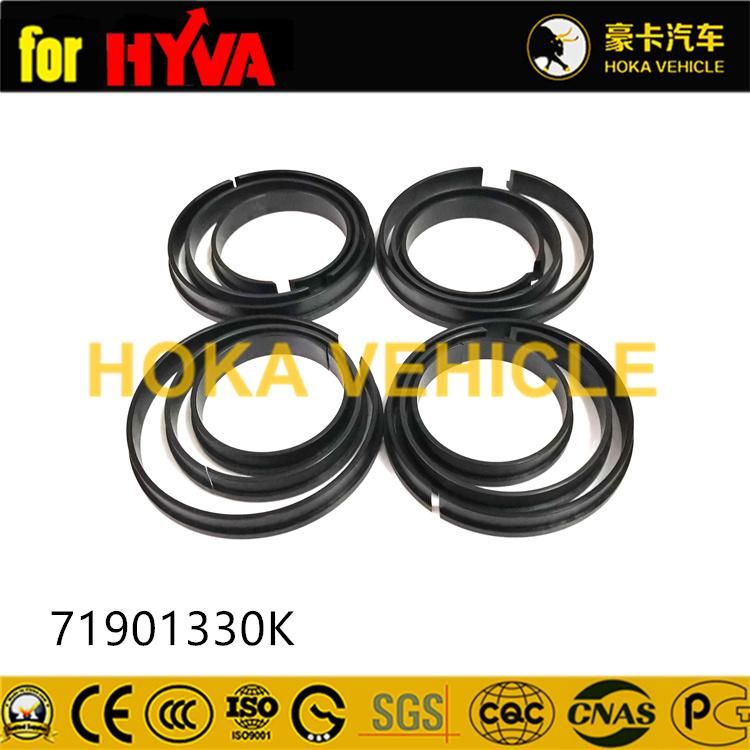 Truck Spare Parts Seal Kit 71901330K for Dump Truck Hyva Hoist System