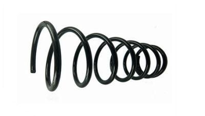 ISO/Ts16949 Passed Spiral Metal Compression Springs