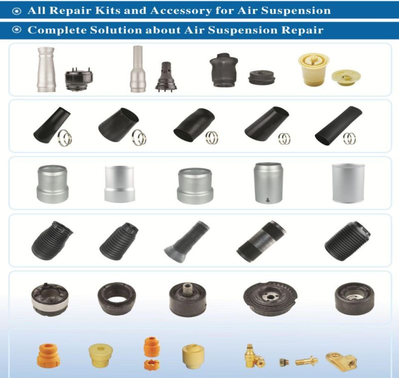 Rear Air Suspension for Mercedes Benz W164 Ml Class