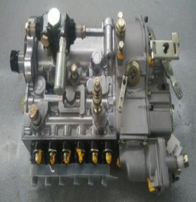 High Pressure Oil Pump 612601080377 for Weichai Wp10 Engine