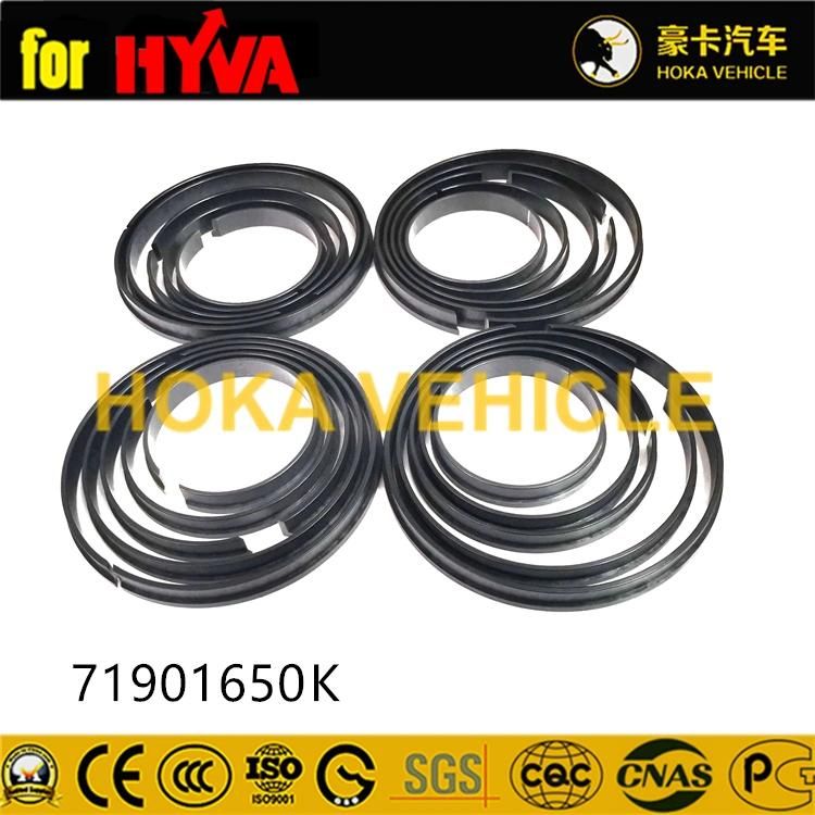 Truck Spare Parts Seal Kit 71901650K for Dump Truck Hyva Hoist System