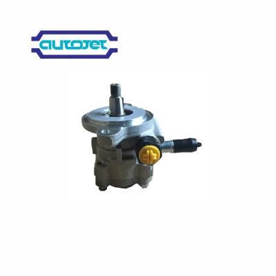 High Quality Power Steering Pumps for All Kinds American, British, Japanese and Korean Cars with Factory Price