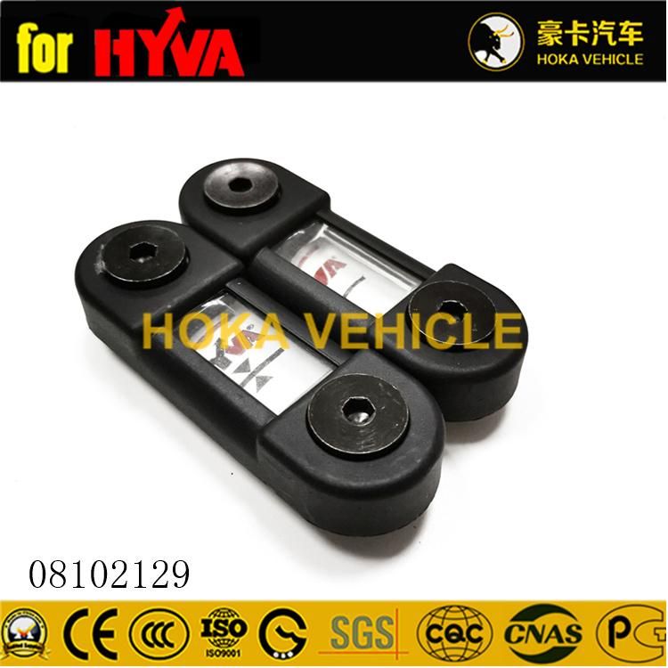 Original and High-Quality Hyva Spare Parts Level Oil Indicator 08102129 for Dump Truck Hyva Hoist System