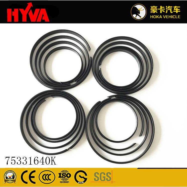 Original and High-Quality Hyva Spare Parts Seal Kit for 172-4 75331640K