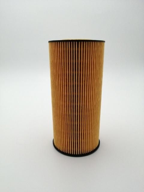 5105500.6073 51055006073 Lf3769 E172HD35 Ox123/1d Hu951X A6061800009 Auto Engine Oil Filter