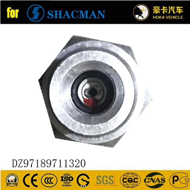 Original Shacman Spare Parts Dry Air Filter Clogging Alarm Switch Dz97189711320