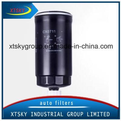 Original Cleaner Fuel Filter Auto Filter Cx0710