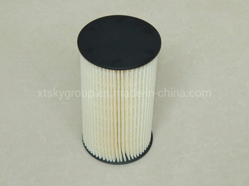 China High Performance Auto Fuel Filter 3c0127434