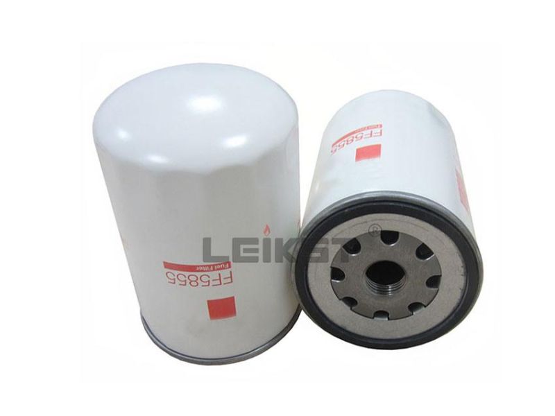 Leikst 02113831 Bfm1013 Fuel Filter Cartridge 02113831 for 1013 Engine 3888460 Sn30049 Wk1144