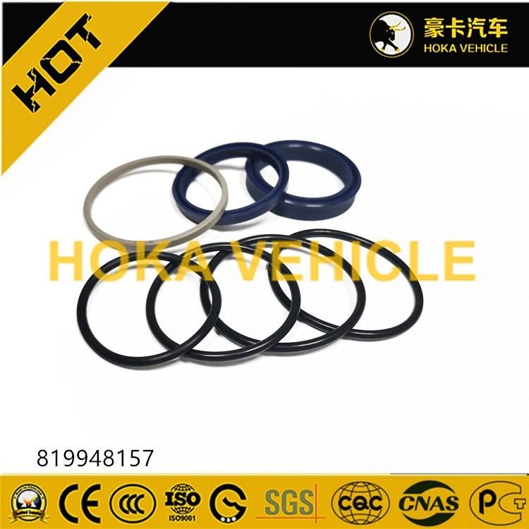 Original Wheel Loader Spare Parts Oil Seal 819948157 for Wheel Loader/Grader Motor