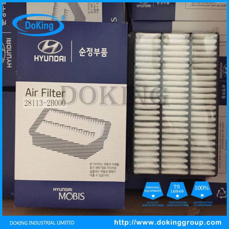 High Quality Hyundai Air Filter 28113-2b000