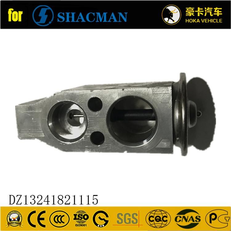 Original Shacman Spare Parts Expansion Valve for Shacman F3000 Heavy Duty Truck