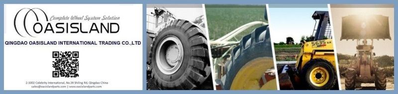 Qualified Agriculture Steel Wheel Rims (DW13X30)