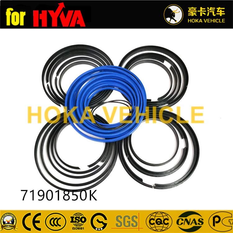 Truck Spare Parts Seal Kit 71901850K for Dump Truck Hyva Hoist System