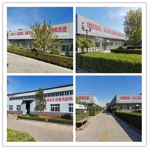 Car Parts Factory in China Brake Shoe