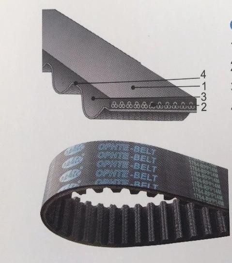 Oft HNBR Rubber Driving Engine Timing Belt with Tfl Coated Material