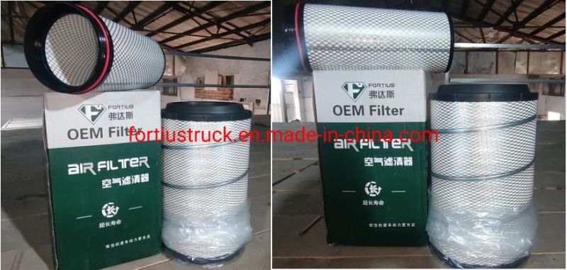 Genuine Diesel Engine Spare Parts OEM Air Filter Wg9725190103/2 Price