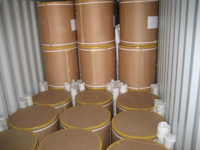 Automotive Air Filter Paper for Engine